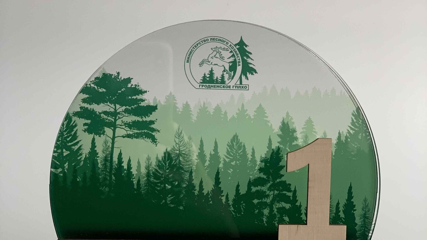 Стела ЛЕСОРУБ 2020