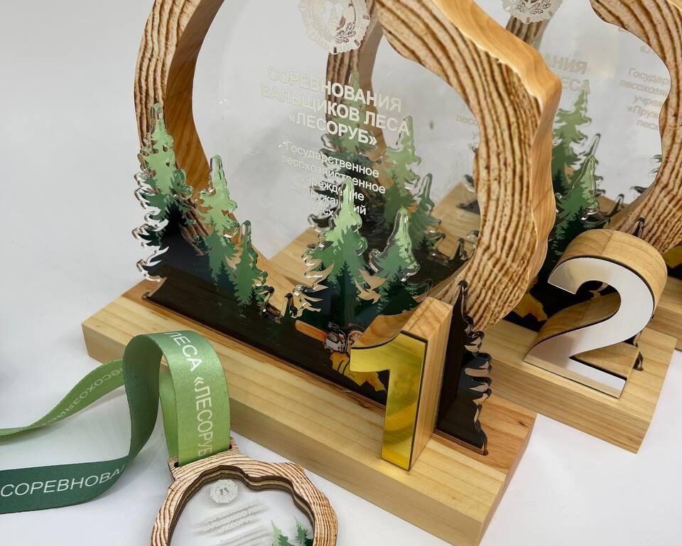 Рубщик леса 2022